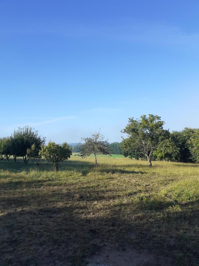 Holiday home Au Lutin Pomme - Maison De Bretagne